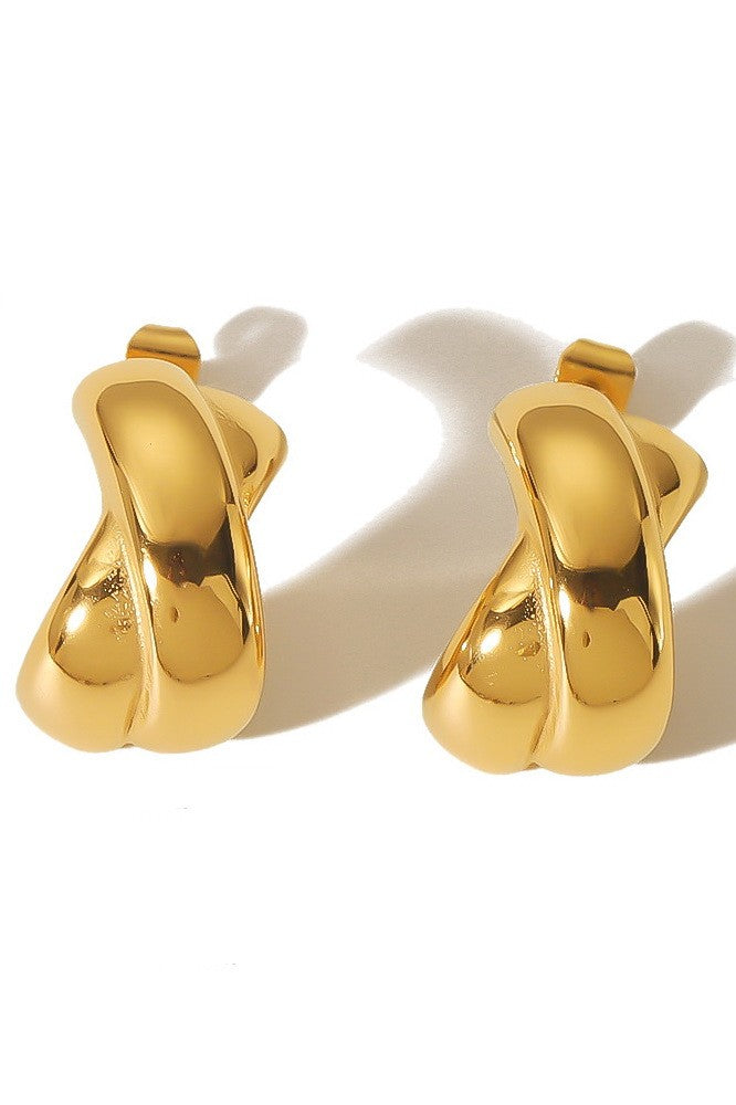 Jewelry- earrings